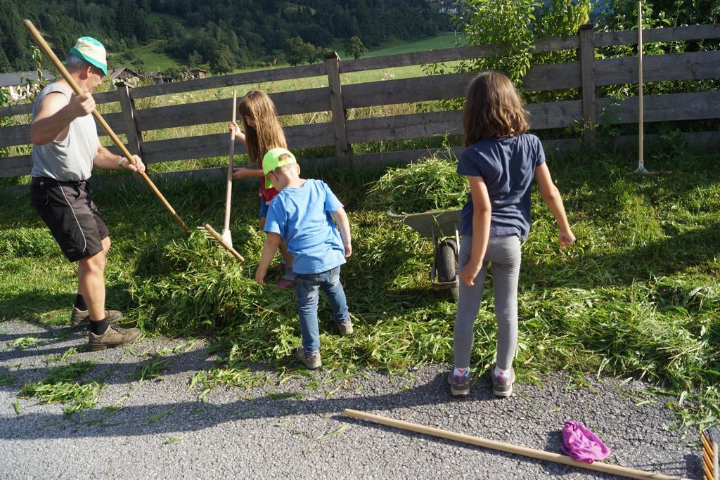 Bio-bauernhof Reiterhof Sankt Johann im Pongau